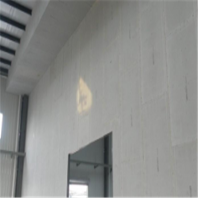 万全宁波ALC板|EPS加气板隔墙与混凝土整浇联接的实验研讨